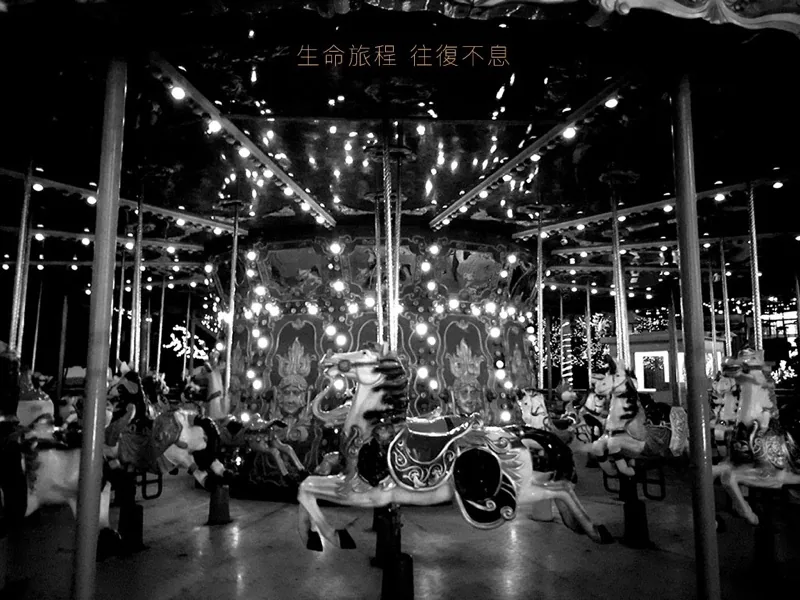 大雨.海棠 | i-city (2016) 封面照片
