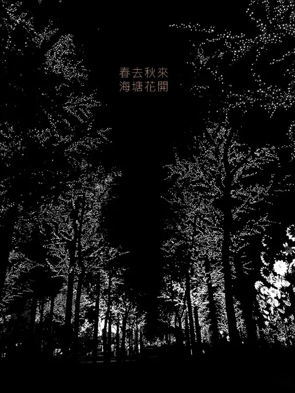 大雨.海棠 | i-city (2016) — 照片 3
