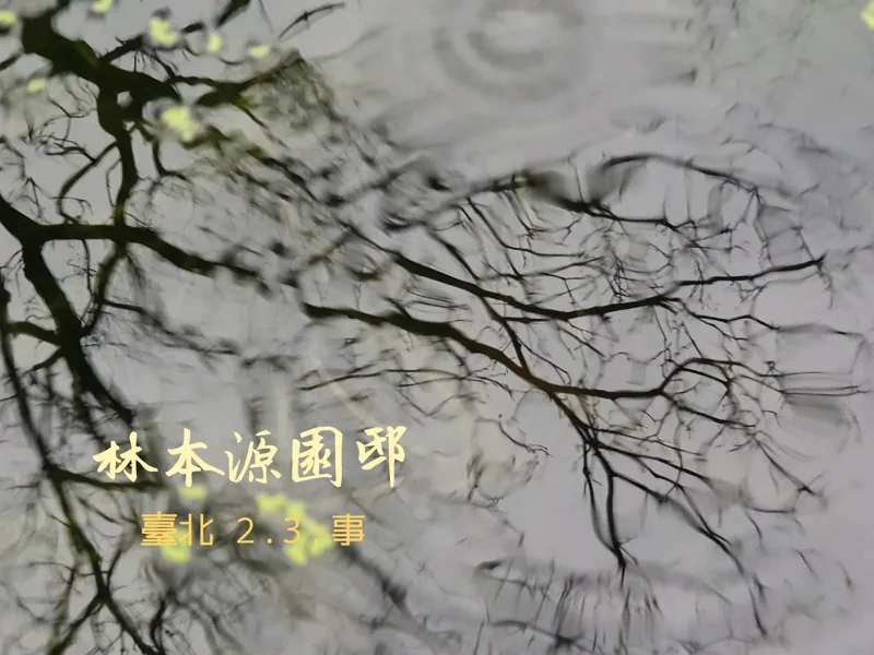 臺北2.3.事 | 臺北 (2019) — 照片 6